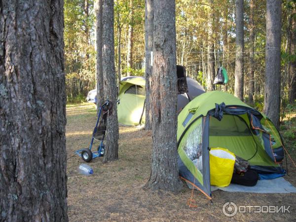 Озеро Велье (Россия, Новгородская область) фото