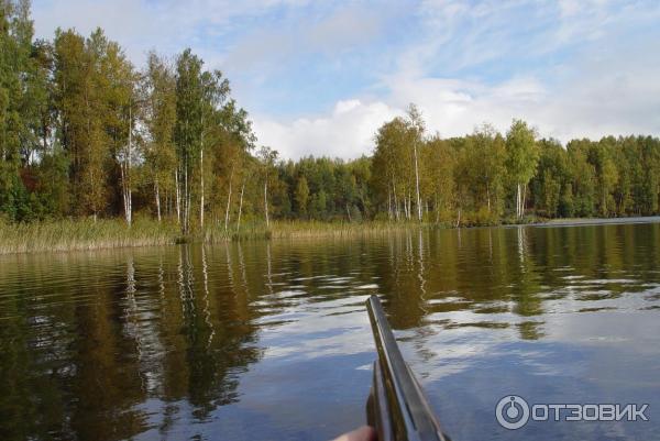 Озеро Велье (Россия, Новгородская область) фото