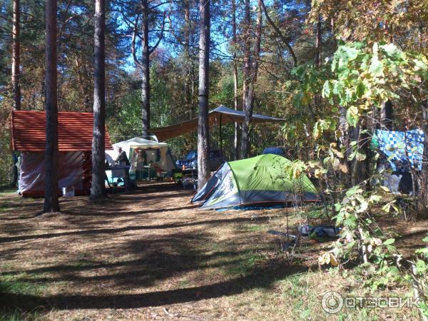 Озеро Велье (Россия, Новгородская область) фото