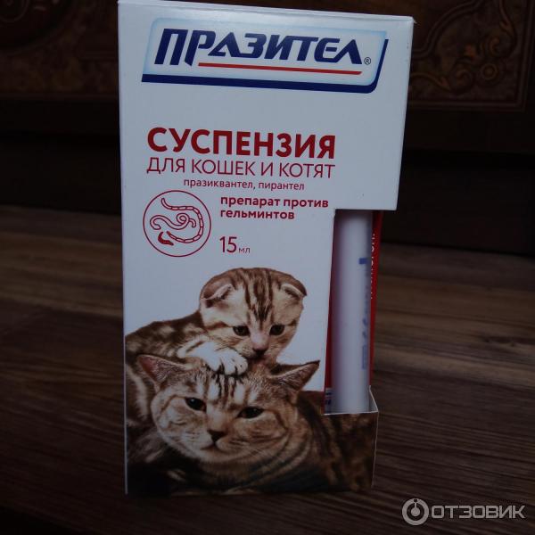 Празител для кошек суспензия