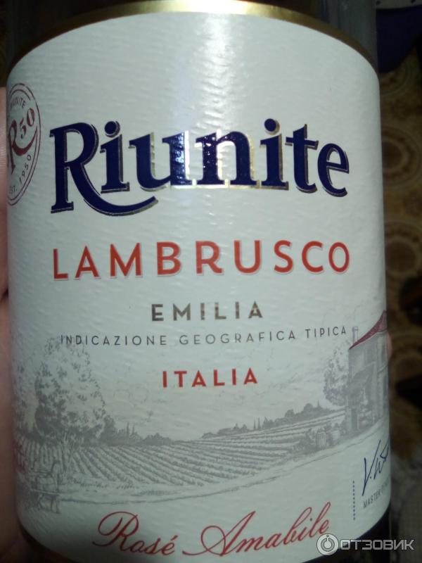 Вино Riunite Lambrusco Rose Emilia фото