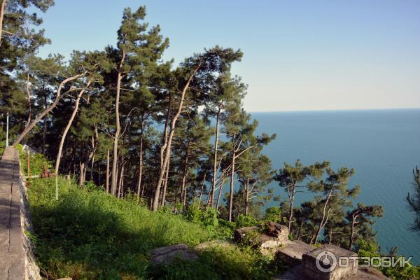 Дача И. В. Сталина (Абхазия, Холодная Речка) фото