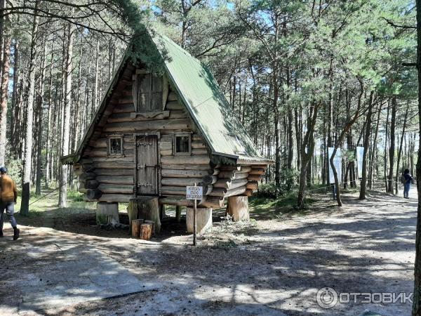 Национальный парк Куршская коса (Россия, Калининградская область) фото