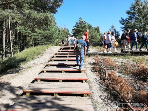 Национальный парк Куршская коса (Россия, Калининградская область) фото