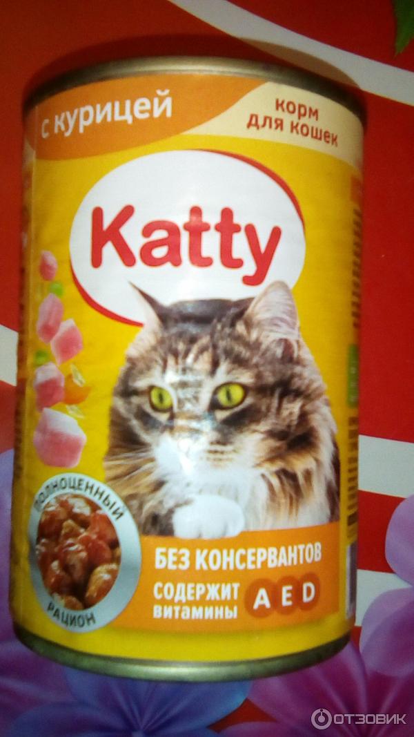 Влажный Корм Для Кошек Katty Купить