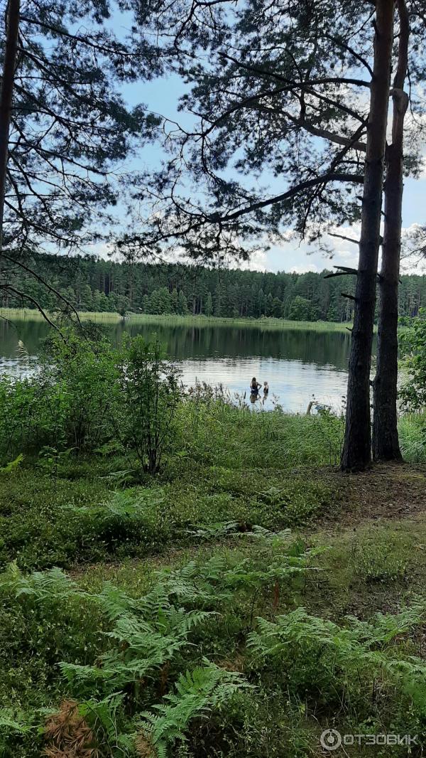 Озеро Селигер: где находится, фото, достопримечательности