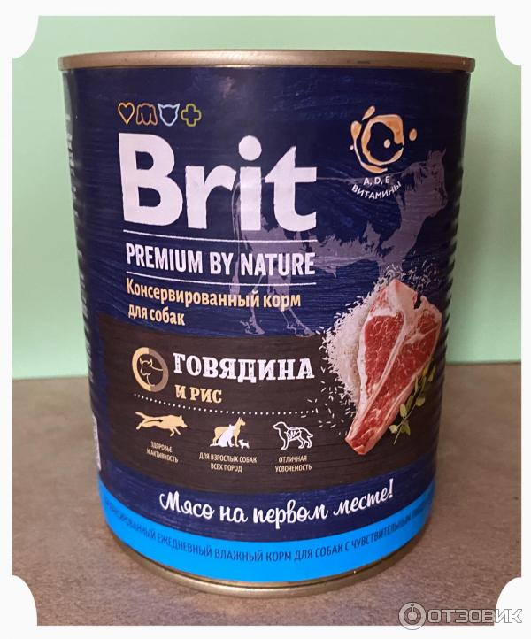 Отзыв о Консервы для собак Brit | Достойный корм