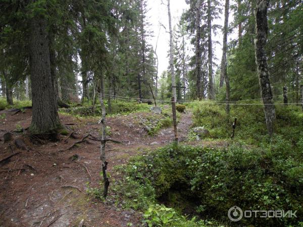 Экскурсия на Секирную гору (Россия, Соловецкие острова) фото