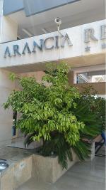 Отель Arancia Resort Hotel 5* (Турция, Алания) фото