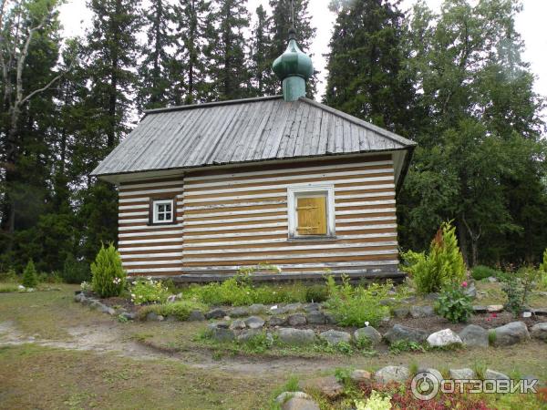 Ботанический сад Соловецких Островов (Россия, Архангельская область) фото