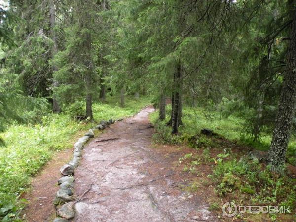 Ботанический сад Соловецких Островов (Россия, Архангельская область) фото