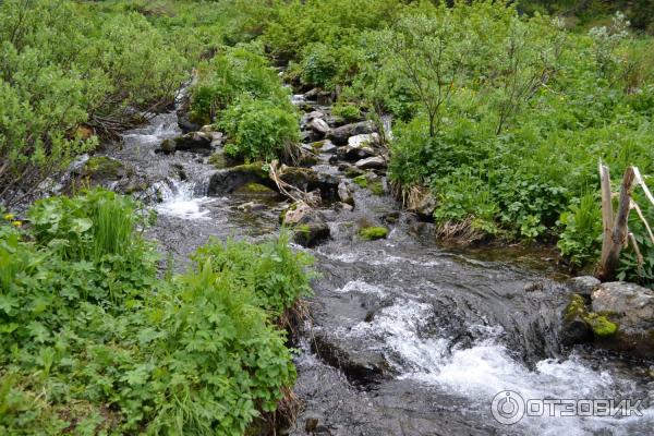 Каракольские озера (Россия, Алтай) фото