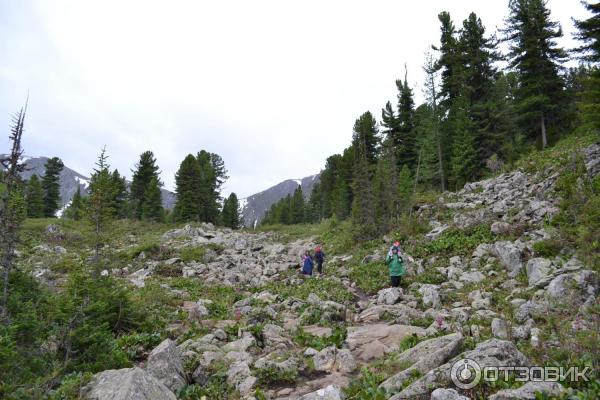 Каракольские озера (Россия, Алтай) фото