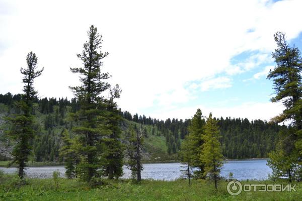 Каракольские озера (Россия, Алтай) фото