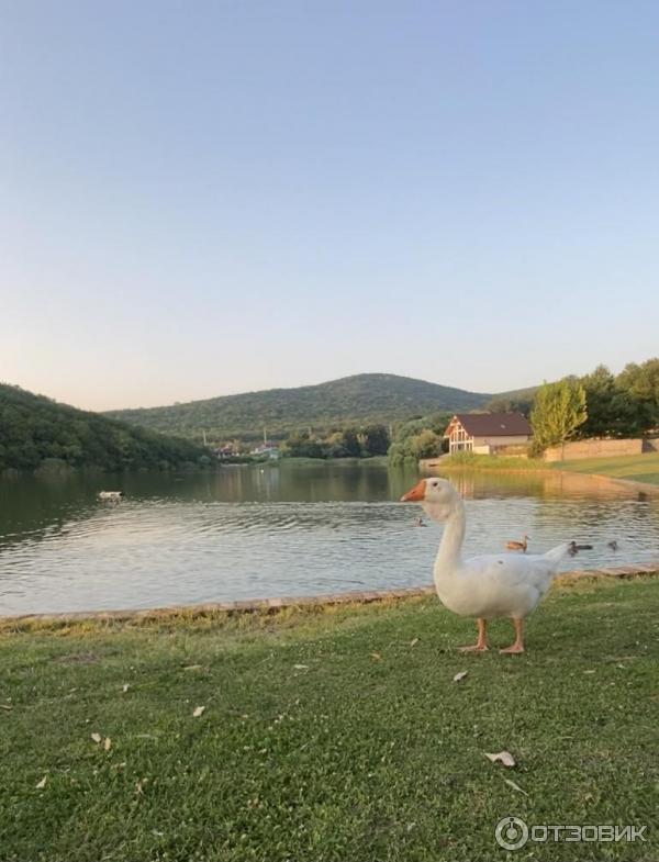 Купить Дом В Семигорье Краснодарского