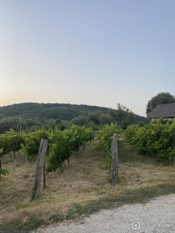 Купить Дом В Семигорье Краснодарского