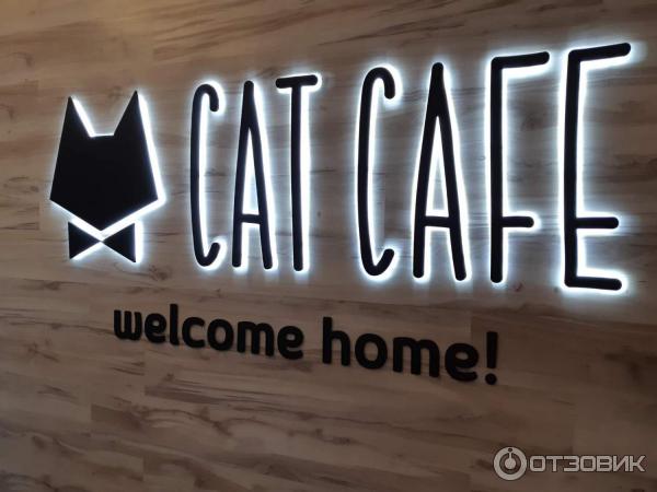 Котокафе Cat Cafe (Литва, Вильнюс) фото