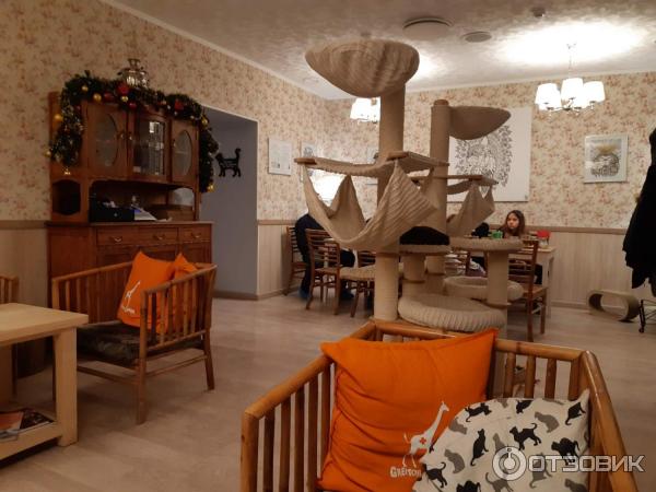 Котокафе Cat Cafe (Литва, Вильнюс) фото