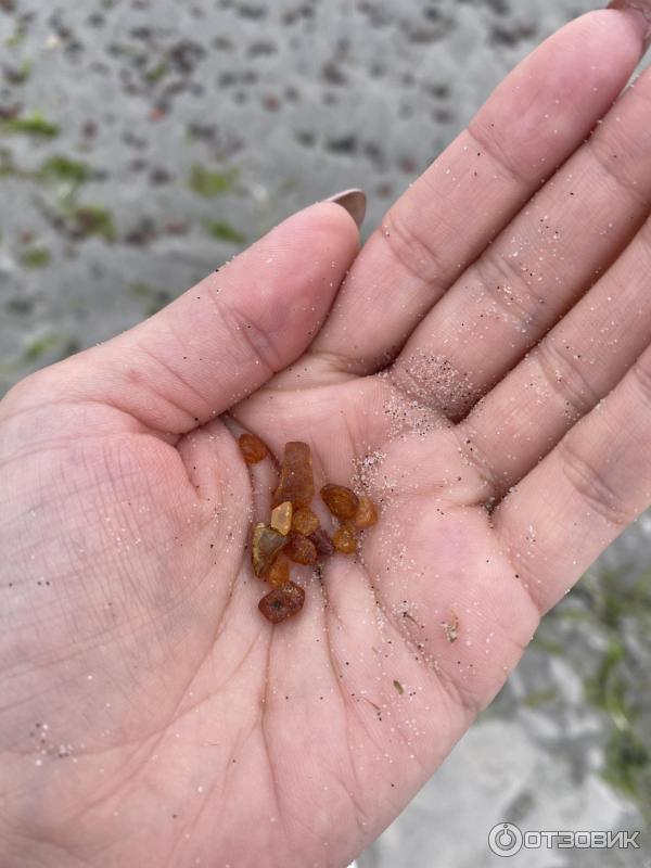 Балтийская коса (Россия, Калининградская область) фото