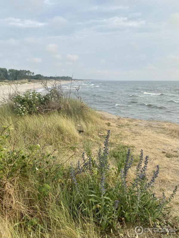 Балтийская коса (Россия, Калининградская область) фото