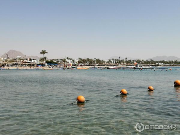 Пляжи Naama Bay (Египет, Шарм-эль-Шейх)