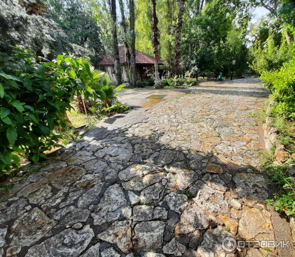 Экскурсия к водопаду Верхний Дюден (Турция, Анталья) фото