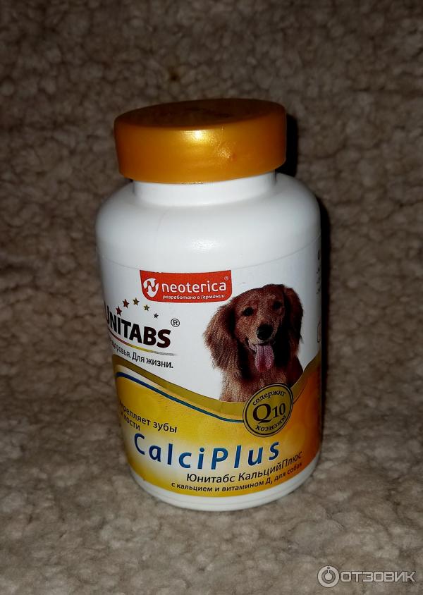Юнитабс 100таб д/собак кальций , витамины для. Витамины полидекс гелабон плюс 150 /5929/. Юнитабс 100таб д/собак кальций , витамины для. Поливит бэби. Кальций плюс для собак.