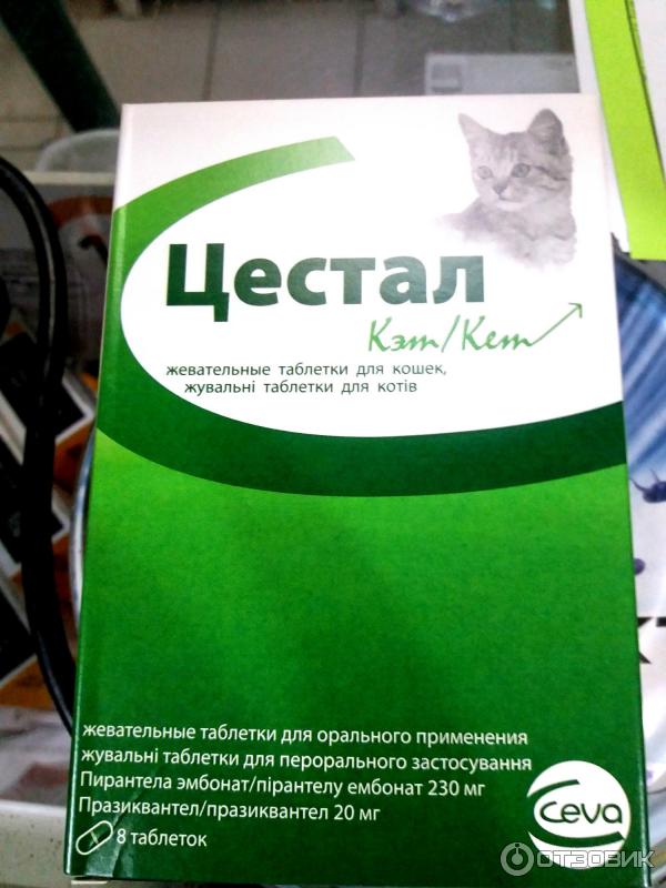 Цестал для кошек