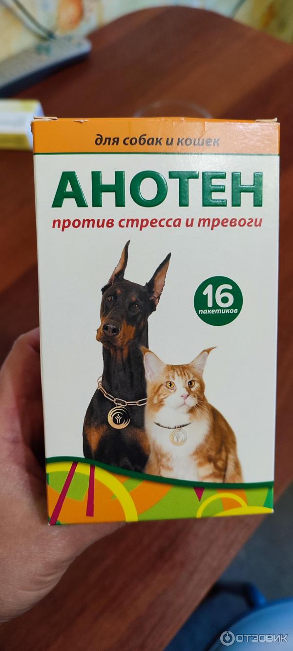 Анотен для собак. Анотен отзывы. Тенотен для собак. Анотен. Анотен для собак.