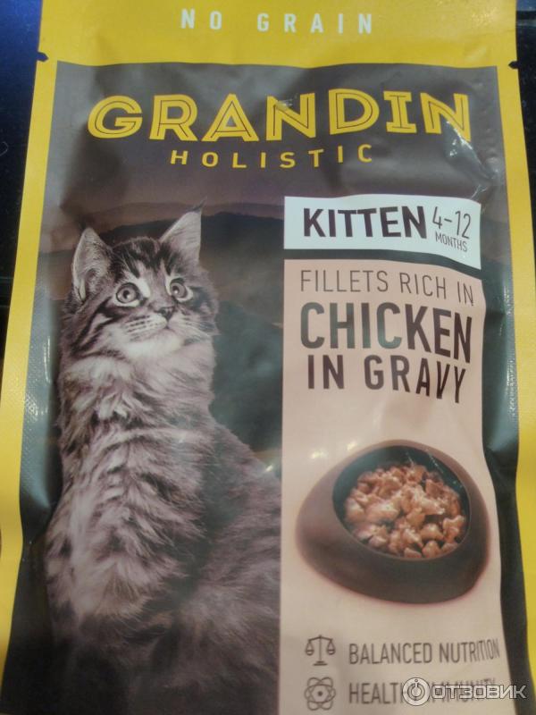 Отзыв о Влажный корм для котят Grandin | Которебенок ест с удовольствием
