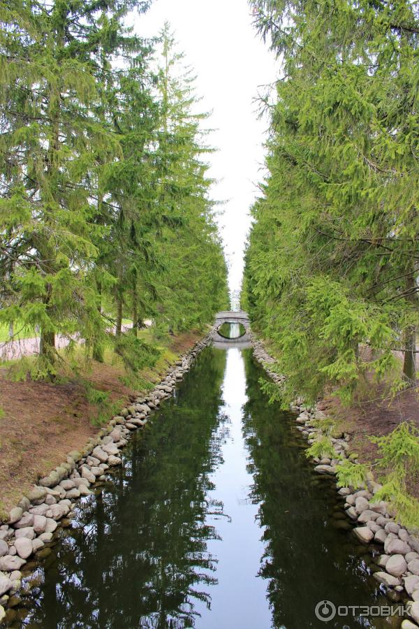 Екатерининский парк в городе Пушкин (Россия, Санкт-Петербург) фото