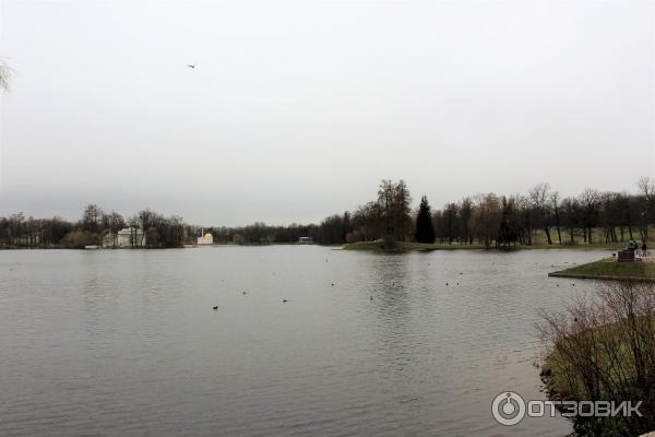 Екатерининский парк в городе Пушкин (Россия, Санкт-Петербург) фото