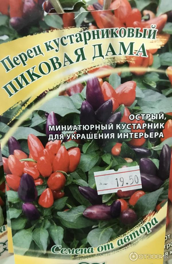 Перец пиковый отзывы фото Отзыв о Семена перца комнатного Гавриш "Пиковая дама" У меня Дама получилась не 