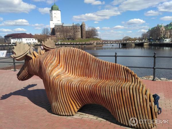 Город Выборг (Россия, Ленинградская область) фото