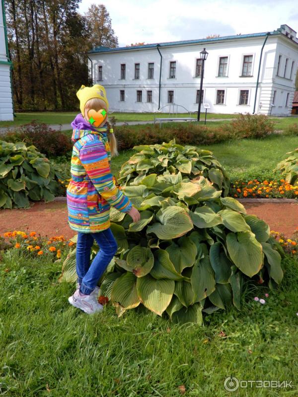 Интерактивная программа Карабиха листопадная в музее-заповеднике Н. А. Некрасова Карабиха - (Россия, Ярославль) фото