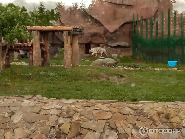 Отзыв о Ижевский зоопарк (Россия, Ижевск) | Очень понравилось