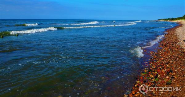 Пляжи Зеленоградска (Россия, Калининградская область) фото