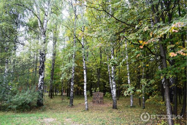 Парк Швейцария (Россия, Нижний Новгород) фото