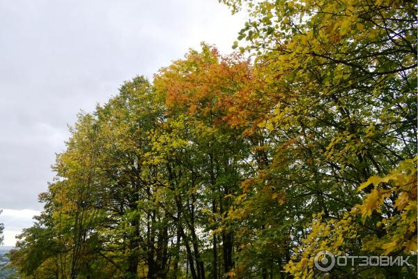 Парк Швейцария (Россия, Нижний Новгород) фото