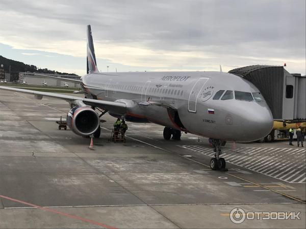 Самолет Boeing 737-800 фото