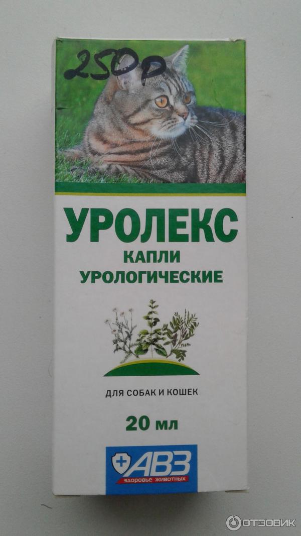 Уролекс инструкция по применению. Уролекс 20 мл для кошек и собак АВЗ. Уролекс для собак. Урологические капли. Уролекс с рисунком колли.