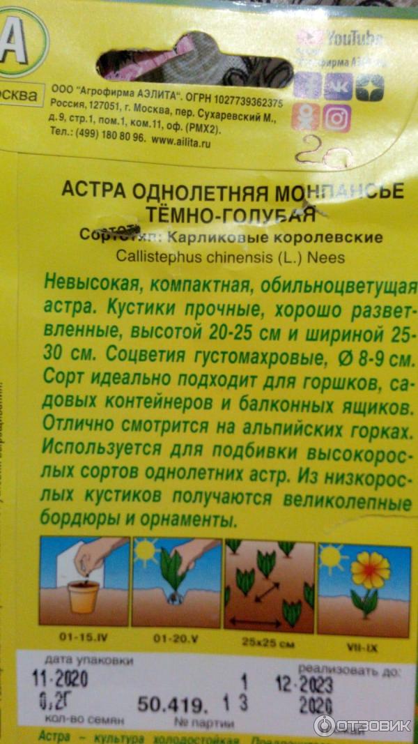 Отзыв о Семена Аэлита Астра "Монпасье" | необычный цвет чернил