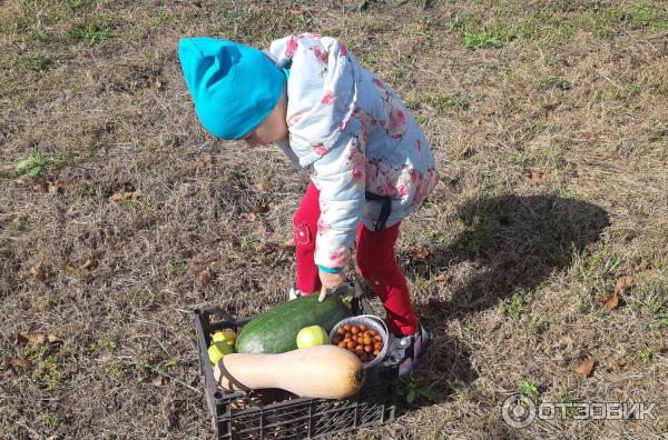 Водолазка и шапка Lucky Child Рибана