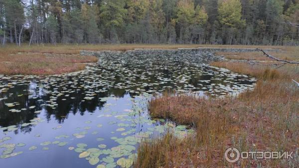 Национальный парк Валдайский (Россия, Новгородская область) фото