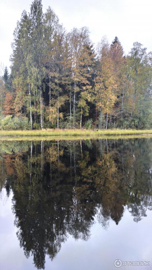 Национальный парк Валдайский (Россия, Новгородская область) фото