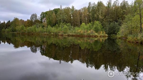 Национальный парк Валдайский (Россия, Новгородская область) фото