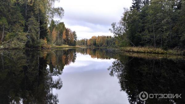 Национальный парк Валдайский (Россия, Новгородская область) фото