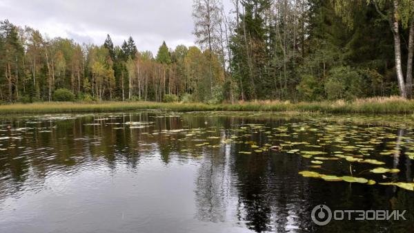 Национальный парк Валдайский (Россия, Новгородская область) фото