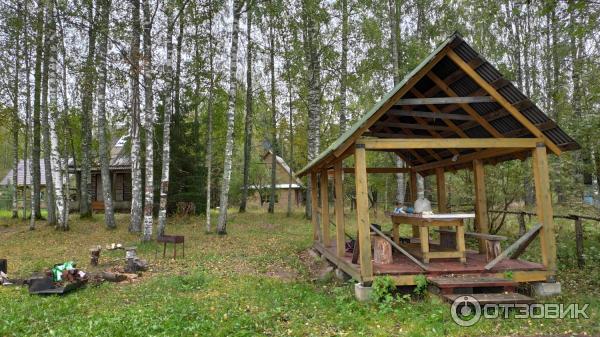 Национальный парк Валдайский (Россия, Новгородская область) фото