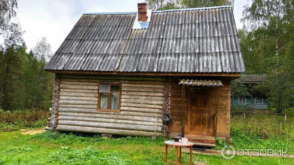 Национальный парк Валдайский (Россия, Новгородская область) фото